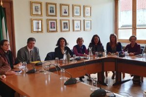 Petições: Carreira e Descongelamento