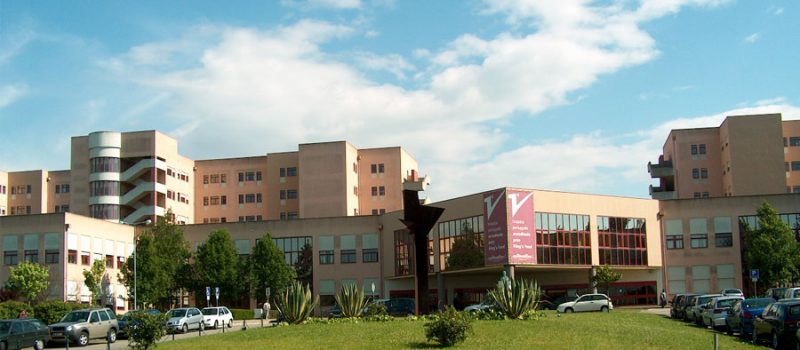 Hospital Fernando Fonseca: Regulamento Interno