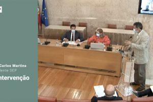 Audiência no Parlamento pela alteração da atual carreira