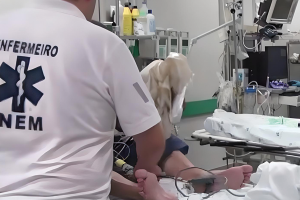 Reunião com Conselho Diretivo do INEM