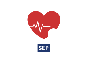 O atual cenário do SNS